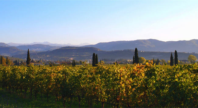 d45b83bf-62b4-4c86-884b-02d66b989698 d45b83bf-62b4-4c86-884b-02d66b989698