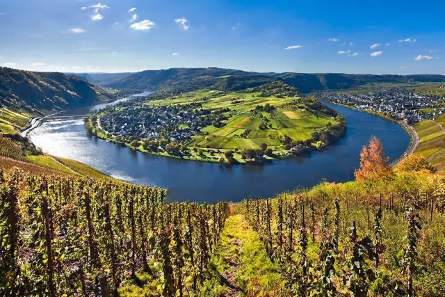 全球升溫,或將影響葡萄酒口感