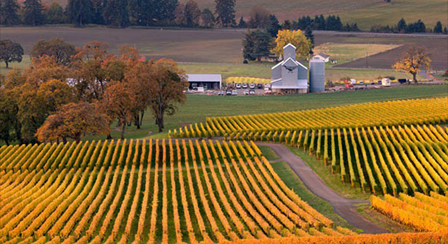 威拉米特河谷葡萄酒產區(qū)